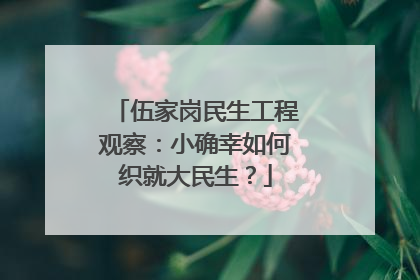 伍家岗民生工程观察：小确幸如何织就大民生？