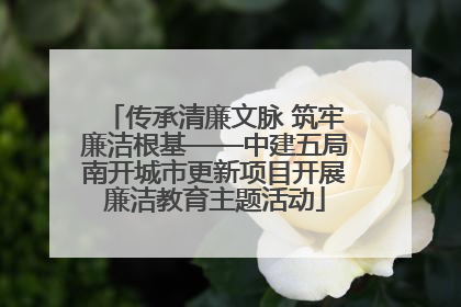 传承清廉文脉 筑牢廉洁根基——中建五局南开城市更新项目开展廉洁教育主题活动