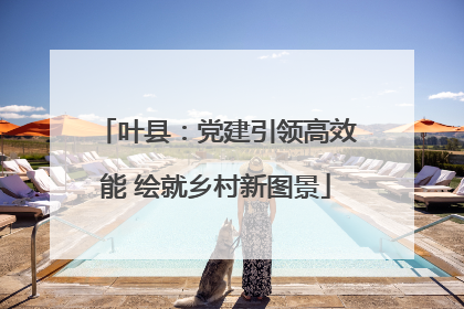 叶县：党建引领高效能 绘就乡村新图景