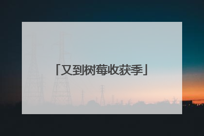又到树莓收获季