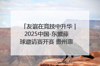 友谊在竞技中升华｜2025中国-东盟藤球邀请赛开赛 贵州惠水燃动“空中芭蕾”