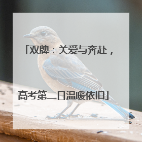 双牌：关爱与奔赴，高考第二日温暖依旧
