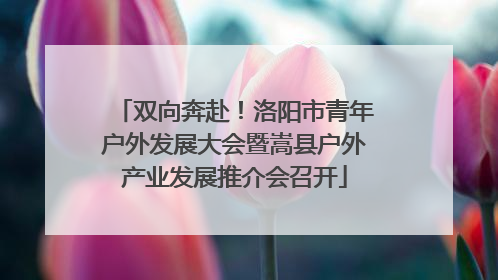 双向奔赴！洛阳市青年户外发展大会暨嵩县户外产业发展推介会召开