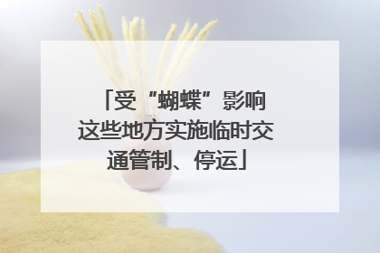 受“蝴蝶”影响 这些地方实施临时交通管制、停运