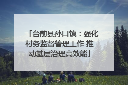 台前县孙口镇：强化村务监督管理工作 推动基层治理高效能