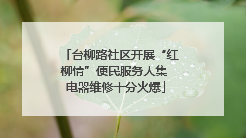 台柳路社区开展“红柳情”便民服务大集 电器维修十分火爆