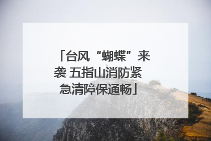 台风“蝴蝶”来袭 五指山消防紧急清障保通畅