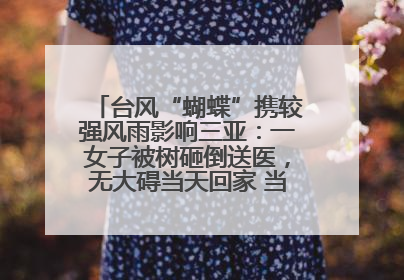 台风“蝴蝶”携较强风雨影响三亚：一女子被树砸倒送医，无大碍当天回家 当地已紧急清障