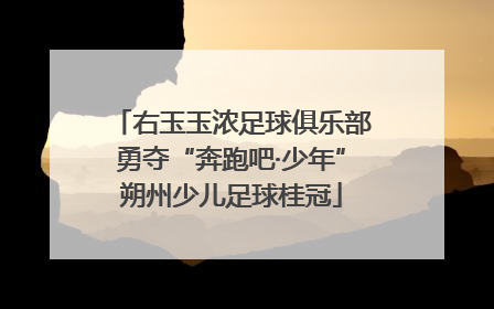 右玉玉浓足球俱乐部勇夺“奔跑吧·少年”朔州少儿足球桂冠