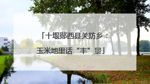 十堰郧西县关防乡：玉米地里话“丰”景