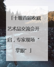 十堰首届收藏艺术品交流会开启，专家现场“掌眼”