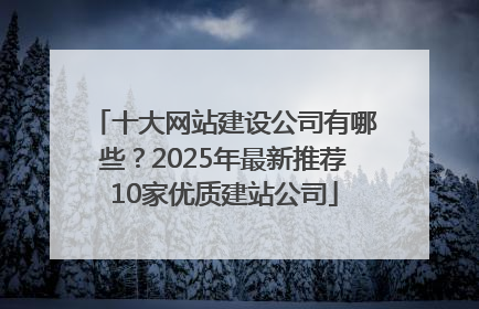 十大网站建设公司有哪些？2025年最新推荐10家优质建站公司