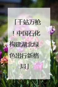 千站万枪！中国石化构建湖北绿色出行新格局