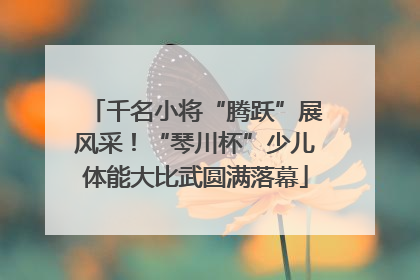 千名小将“腾跃”展风采！“琴川杯”少儿体能大比武圆满落幕