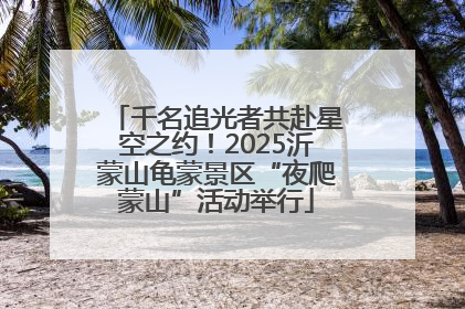千名追光者共赴星空之约！2025沂蒙山龟蒙景区“夜爬蒙山”活动举行