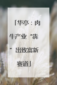 华亭：肉牛产业“犇”出致富新赛道