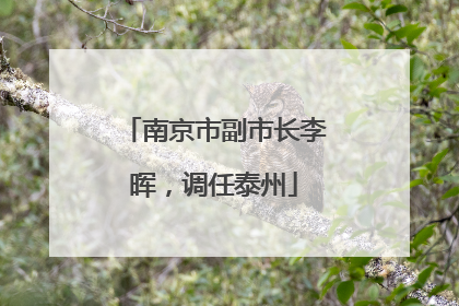 南京市副市长李晖，调任泰州