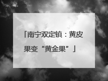 南宁双定镇：黄皮果变“黄金果”