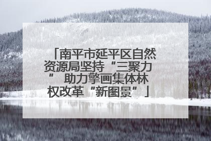 南平市延平区自然资源局坚持“三聚力” 助力擎画集体林权改革“新图景”