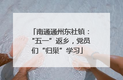 南通通州东社镇：“五一”返乡，党员们“归巢”学习
