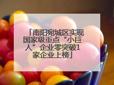 南阳宛城区实现国家级重点“小巨人”企业零突破1家企业上榜