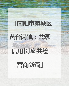 南阳市宛城区黄台岗镇：共筑信用长城 共绘营商新篇