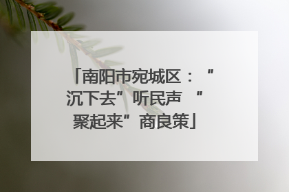 南阳市宛城区：“沉下去”听民声 “聚起来”商良策