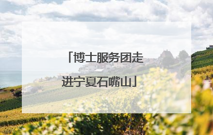博士服务团走进宁夏石嘴山