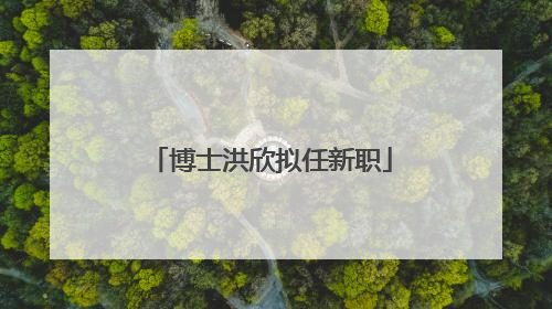 博士洪欣拟任新职