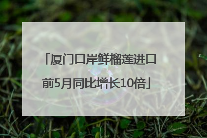 厦门口岸鲜榴莲进口 前5月同比增长10倍