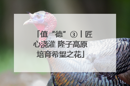 值“德”③丨匠心浇灌 隆子高原培育希望之花