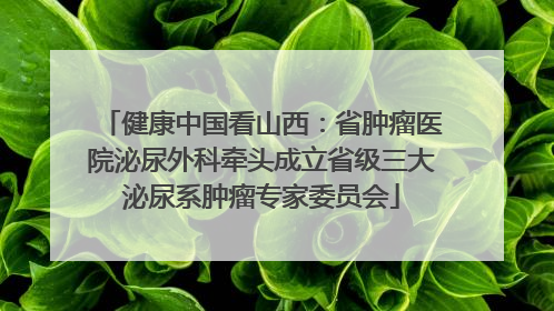 健康中国看山西：省肿瘤医院泌尿外科牵头成立省级三大泌尿系肿瘤专家委员会