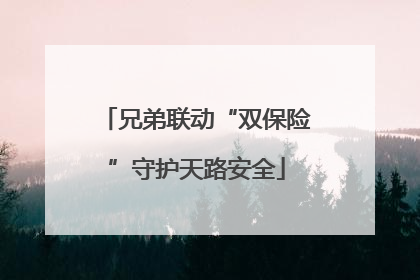 兄弟联动“双保险”守护天路安全