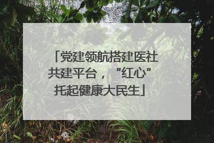 党建领航搭建医社共建平台，“红心”托起健康大民生