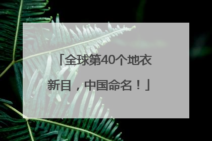 全球第40个地衣新目，中国命名！