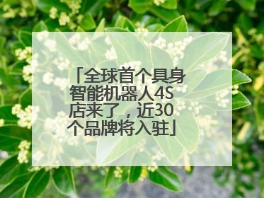 全球首个具身智能机器人4S店来了，近30个品牌将入驻