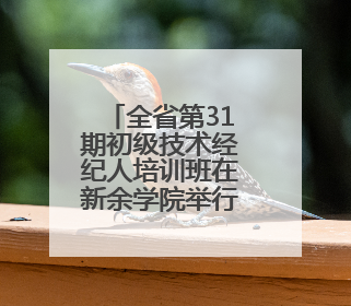 全省第31期初级技术经纪人培训班在新余学院举行(图)