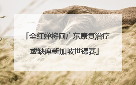 全红婵将回广东康复治疗 或缺席新加坡世锦赛