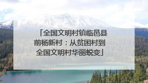 全国文明村镇临邑县前杨新村：从贫困村到全国文明村华丽蜕变