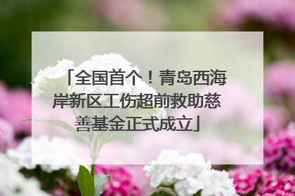 全国首个！青岛西海岸新区工伤超前救助慈善基金正式成立
