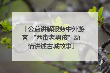公益讲解服务中外游客 “西街老男孩”动情讲述古城故事