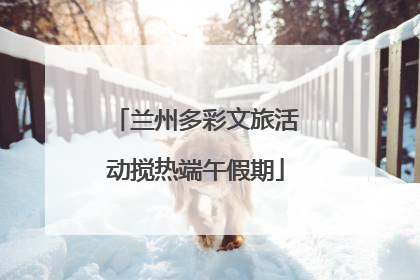 兰州多彩文旅活动搅热端午假期