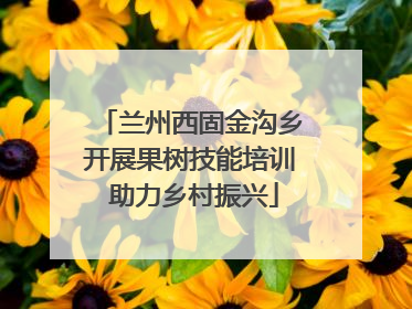 兰州西固金沟乡开展果树技能培训 助力乡村振兴