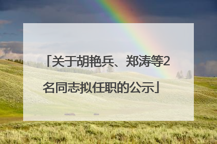关于胡艳兵、郑涛等2名同志拟任职的公示