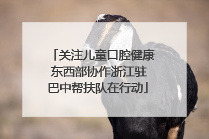 关注儿童口腔健康 东西部协作浙江驻巴中帮扶队在行动