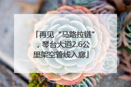 再见“马路拉链”，琴台大道2.6公里架空管线入廊