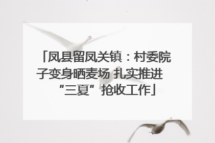 凤县留凤关镇：村委院子变身晒麦场 扎实推进“三夏”抢收工作