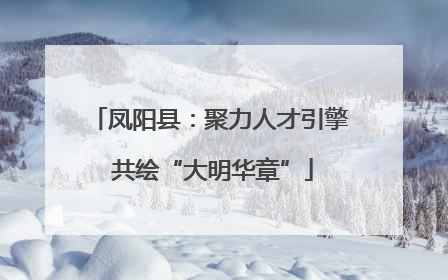 凤阳县：聚力人才引擎 共绘“大明华章”