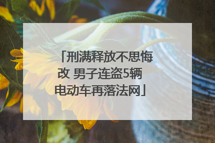刑满释放不思悔改 男子连盗5辆电动车再落法网