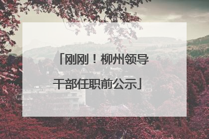 刚刚！柳州领导干部任职前公示
